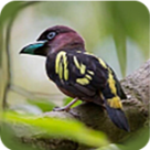 WWW,ggg96·COM网站APP