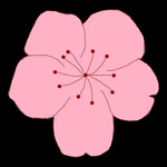 手机火星直播电视app免费版APP应用