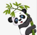 WWW,se241·COM网站APP